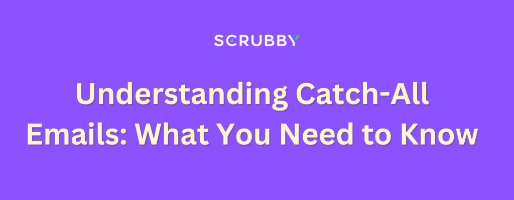Understanding Catch-All Emails What You Need to Know - Scrubby