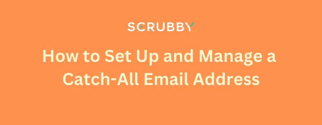 How to Set Up and Manage a Catch All Email Address